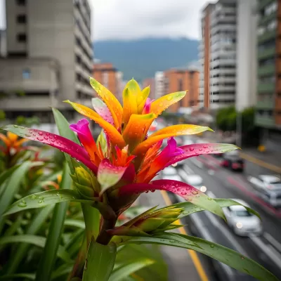 Imagen PNG para descargar